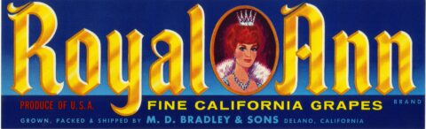 Royal Ann